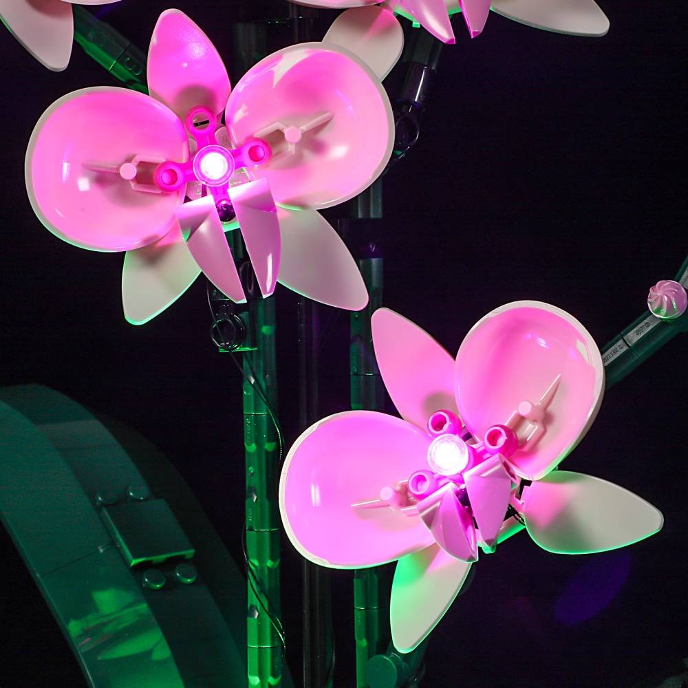 【Light Sets】Bricks LED Lighting 10311 Creator Expert Botanical Collection Orchid