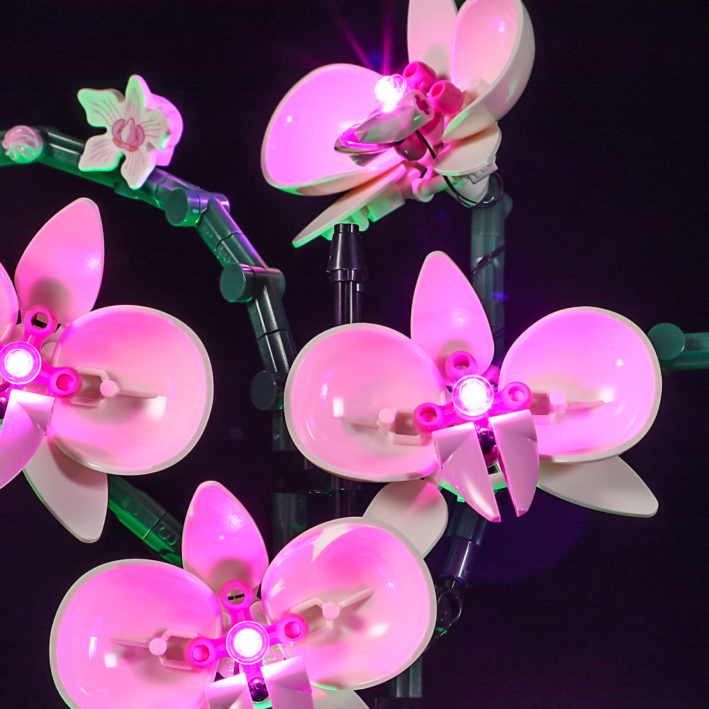 【Light Sets】Bricks LED Lighting 10311 Creator Expert Botanical Collection Orchid