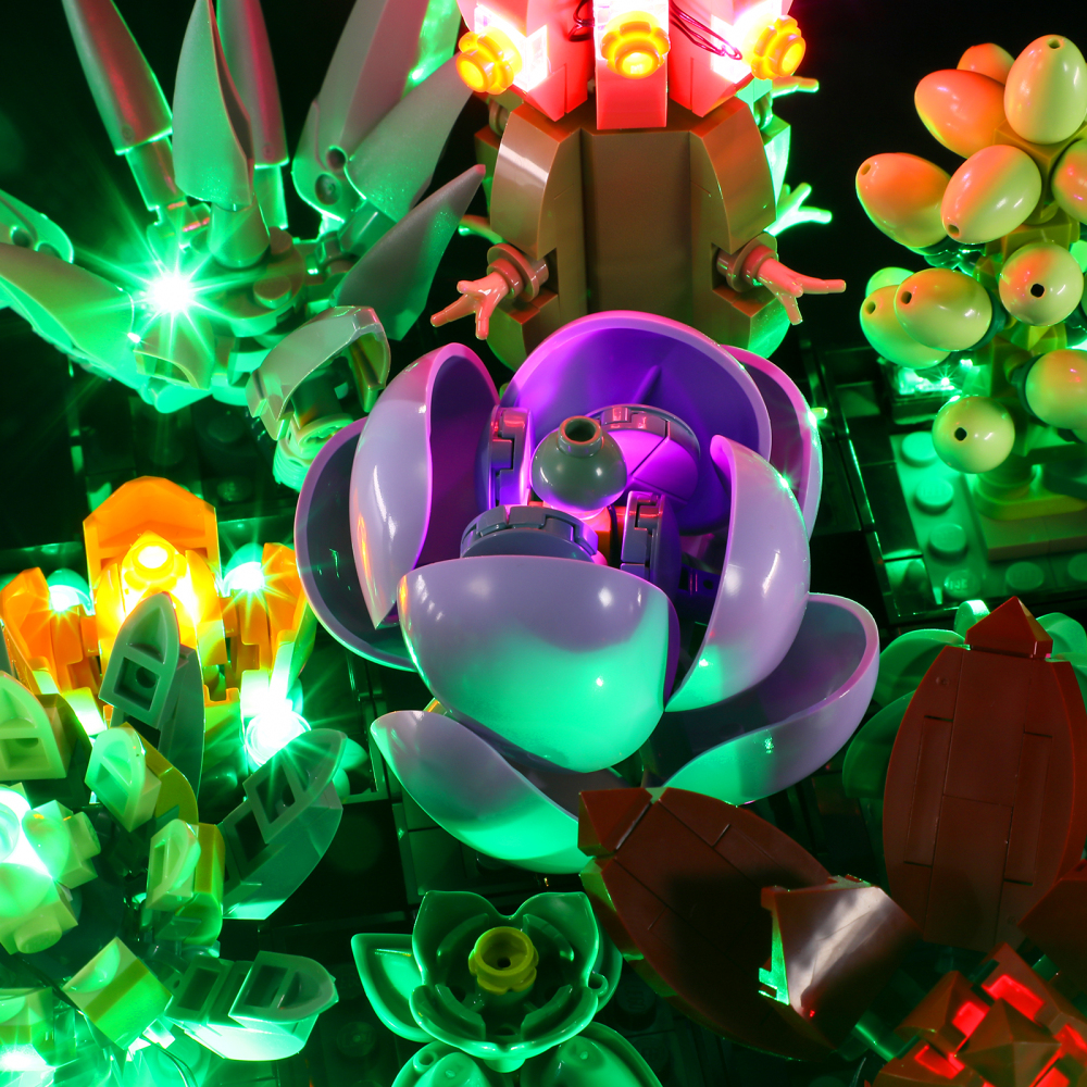 【Light Sets】Bricks LED Lighting 10309 Creator Expert Botanical Collection Succulents