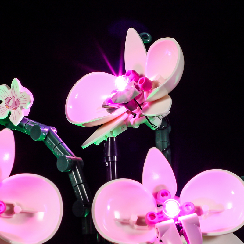 【Light Sets】Bricks LED Lighting 10311 Creator Expert Botanical Collection Orchid