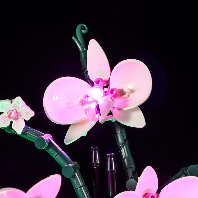 【Light Sets】Bricks LED Lighting 10311 Creator Expert Botanical Collection Orchid