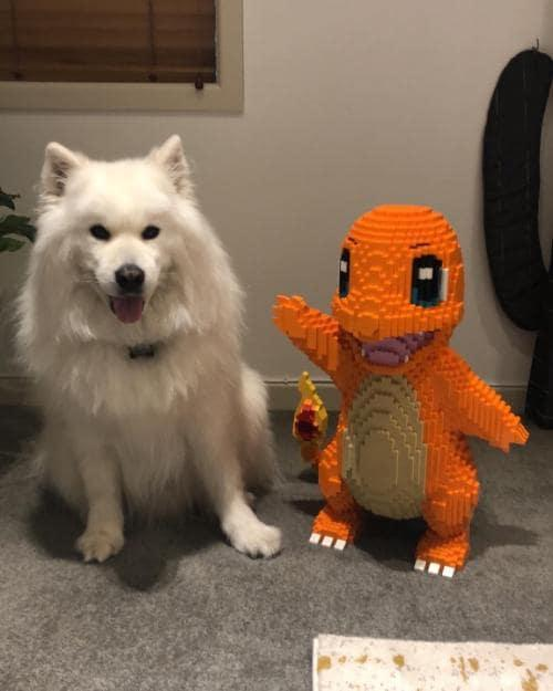 A Charmander building block about the same height as a puppy.