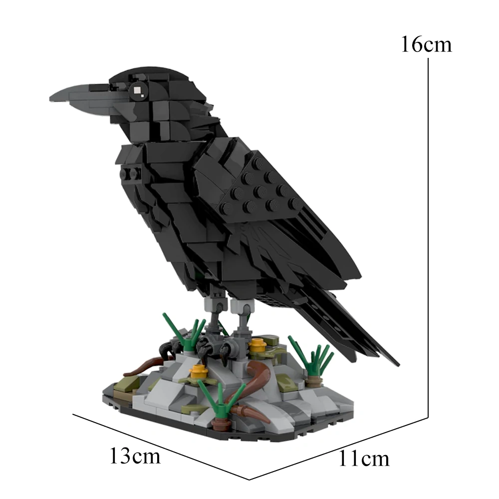 Studio 217187 Raven