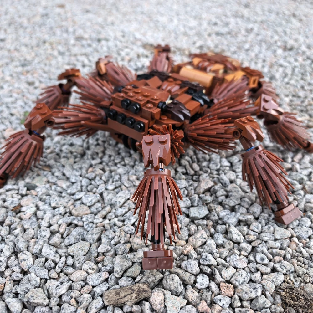 MOC 235914 RSA Tarantula