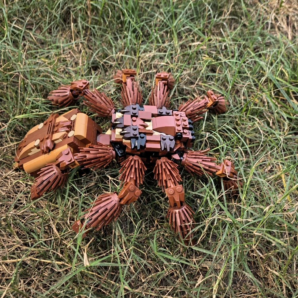 MOC 235914 RSA Tarantula