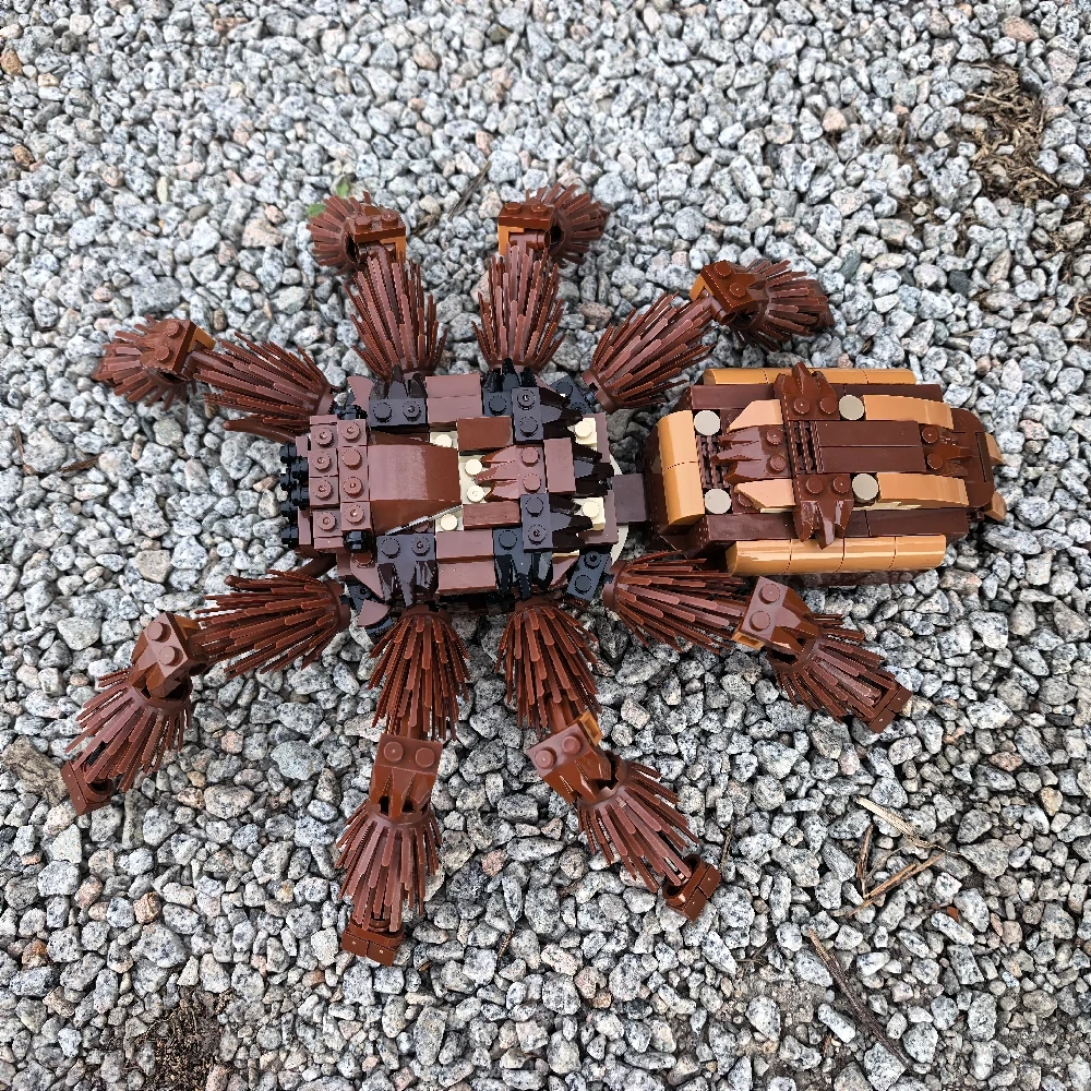 MOC 235914 RSA Tarantula