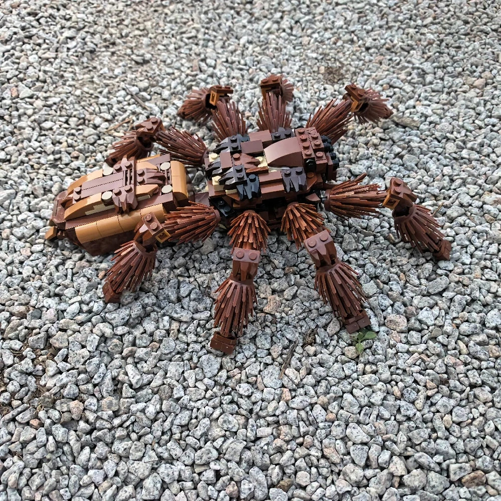 MOC 235914 RSA Tarantula