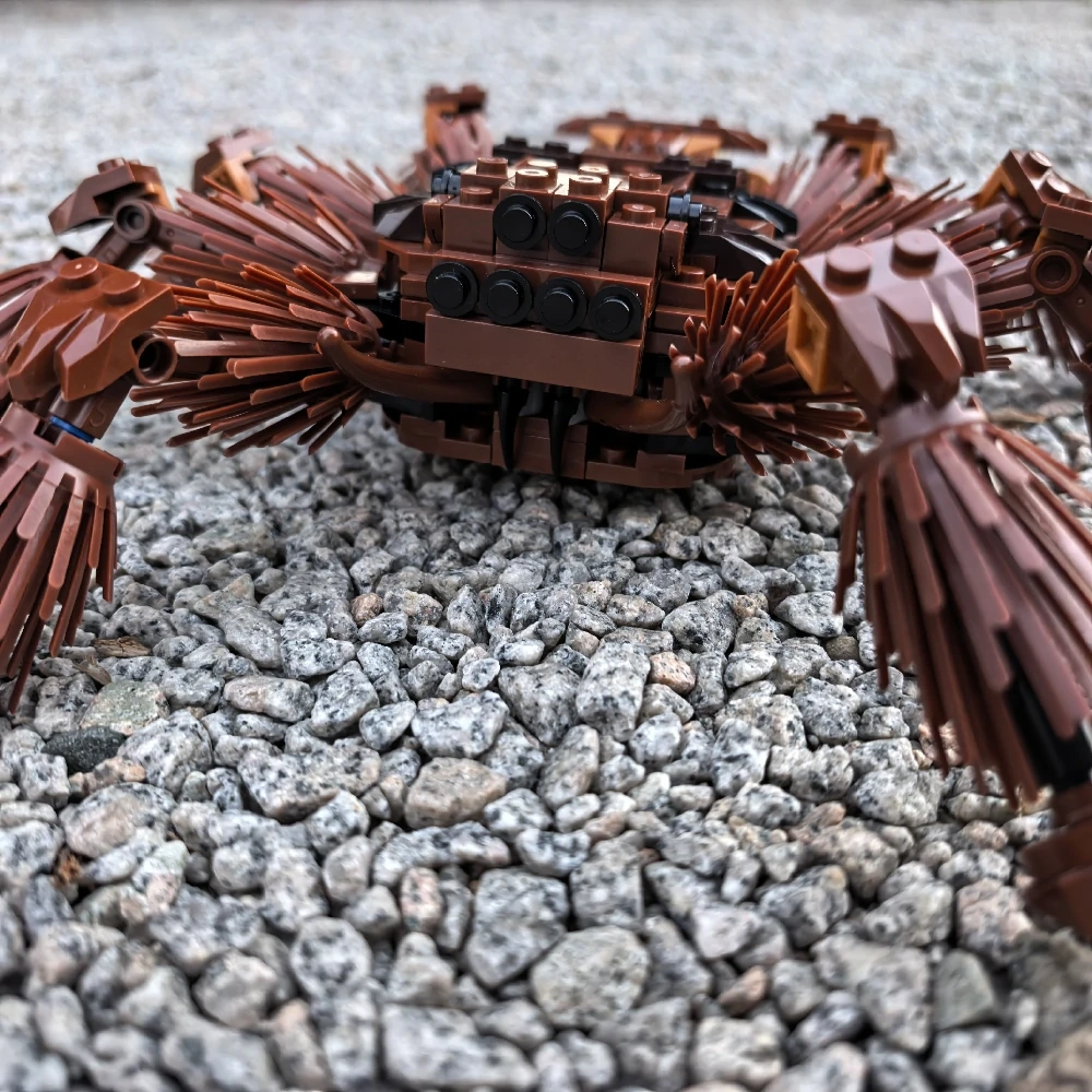 MOC 235914 RSA Tarantula