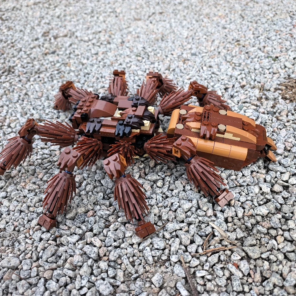MOC 235914 RSA Tarantula
