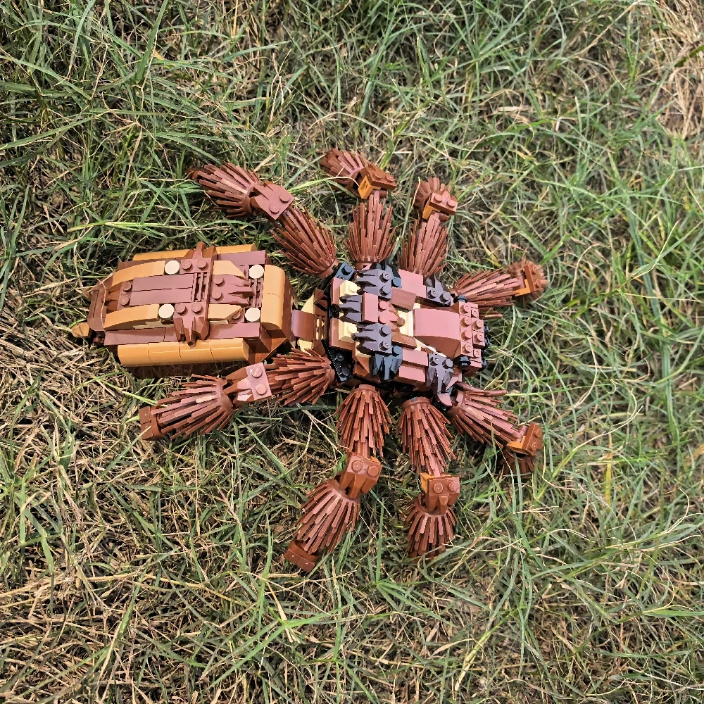 MOC 235914 RSA Tarantula