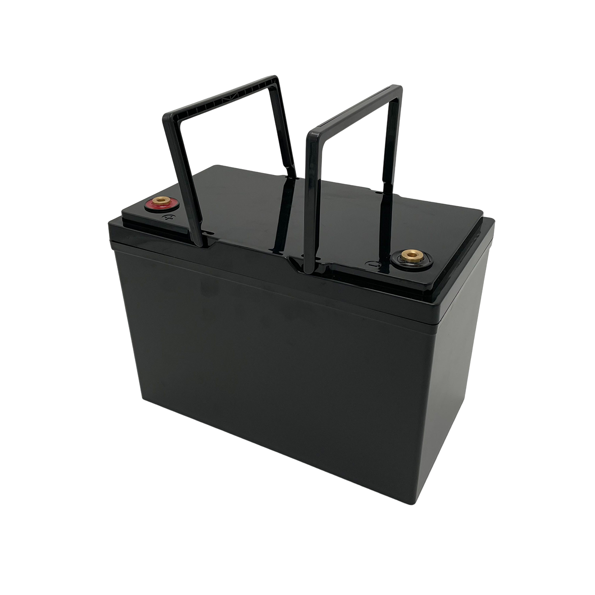 RisunPower RP12100LR 12.8V 100Ah 1280Wh LiFePO4 Lithium Battery replace