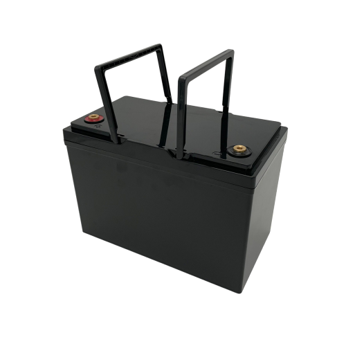 RisunPower RP12100LR 12.8V 100Ah 1280Wh LiFePO4 Lithium Battery replace Lead-acid battery portable power station