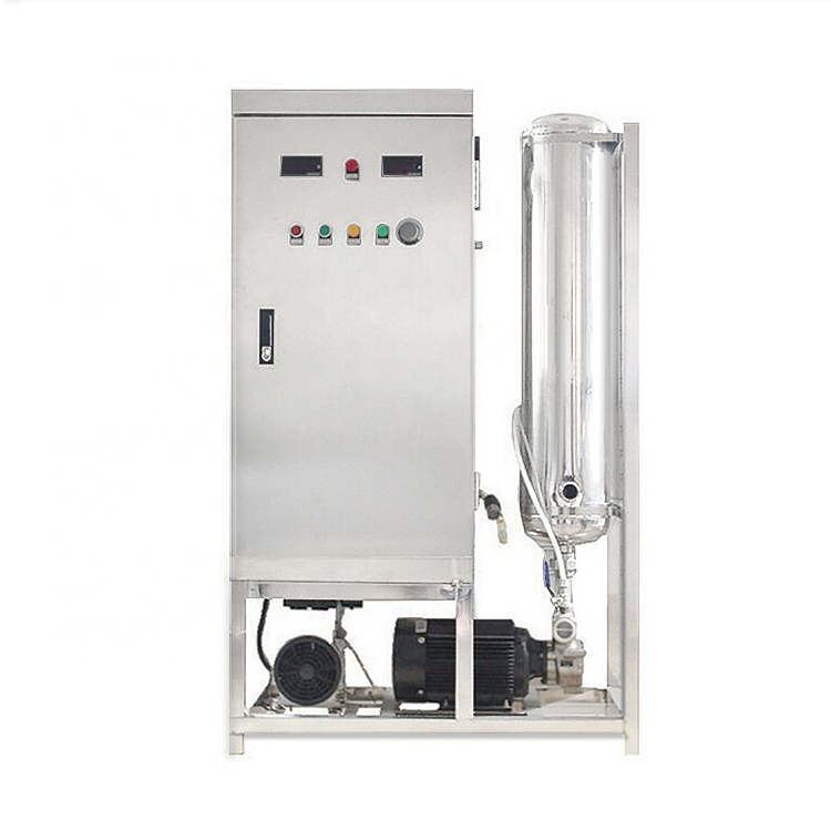 one stop installation ozone generator for swimming pool water cleaning