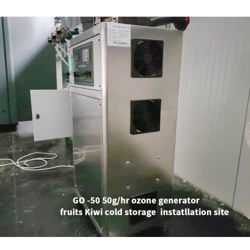Fruits Kiwi cold storage in 50g ozone generator