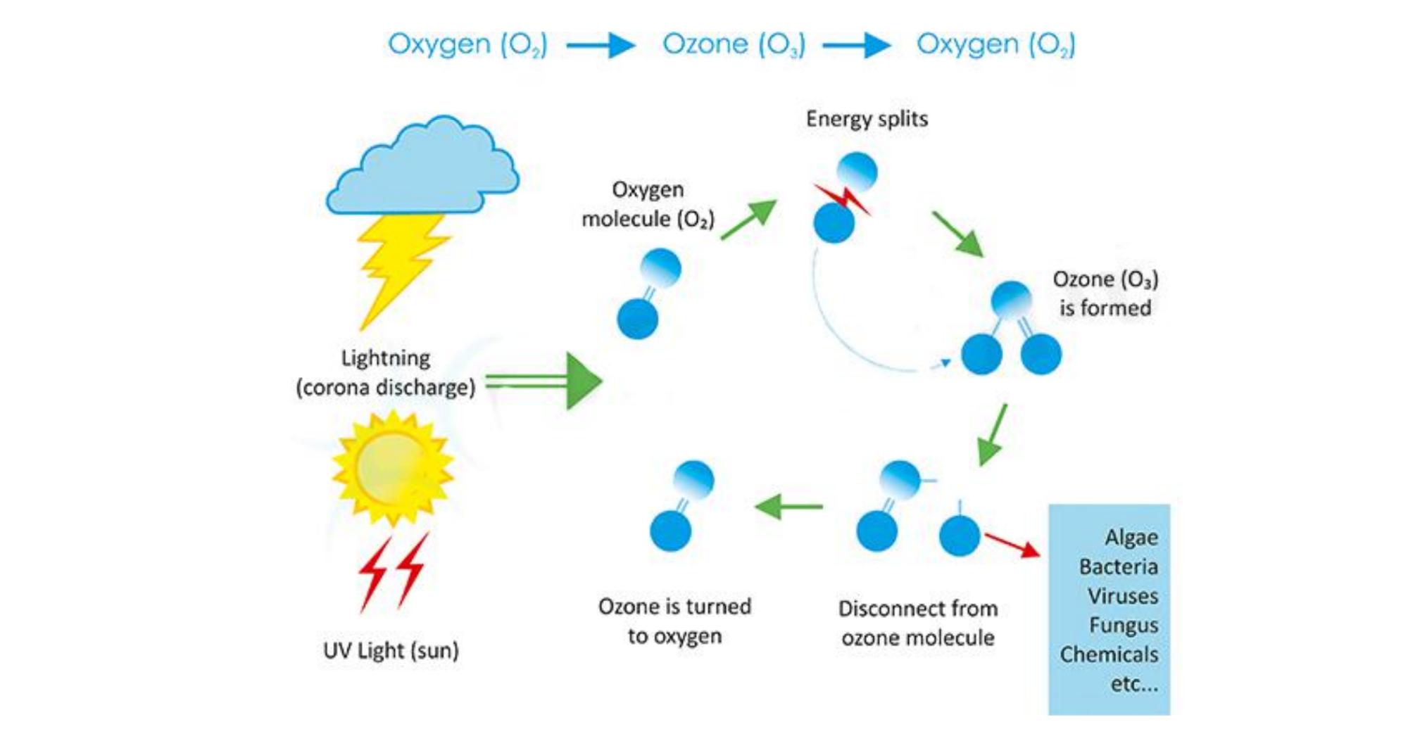 what is ozone ?