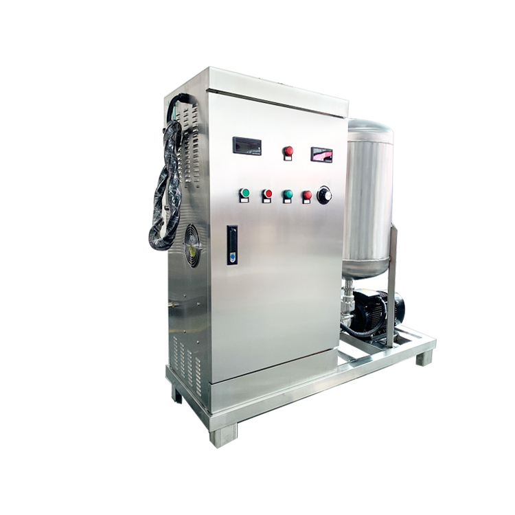 agriculture irrigation water ozone generator 50g