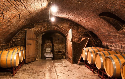 industrial ozone generator for wine processing water treatment