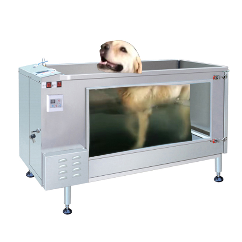 New arrival pet underwater ozone treadmill
