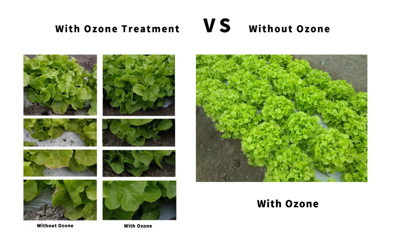 ozone generator benefits for agriculture greenhouse