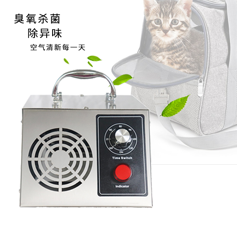 ceramic plate 10g 20g portable ozone generator