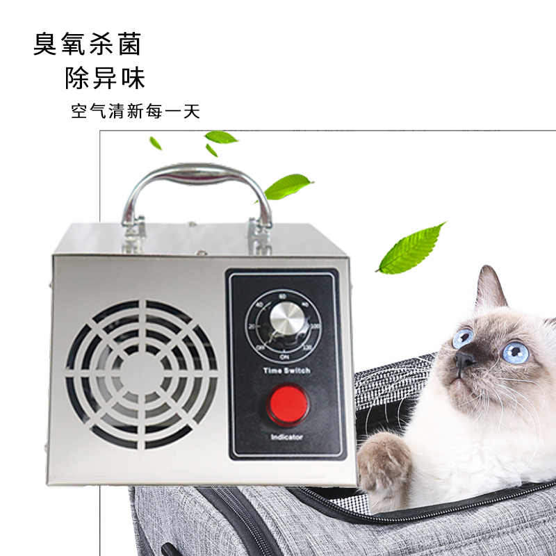 ceramic plate 10g 20g portable ozone generator
