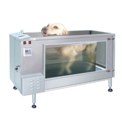 Pet Training Equipment Dogs Electric Hydrotherapy Walking Machine Pet Underwater Treadmill for Pet