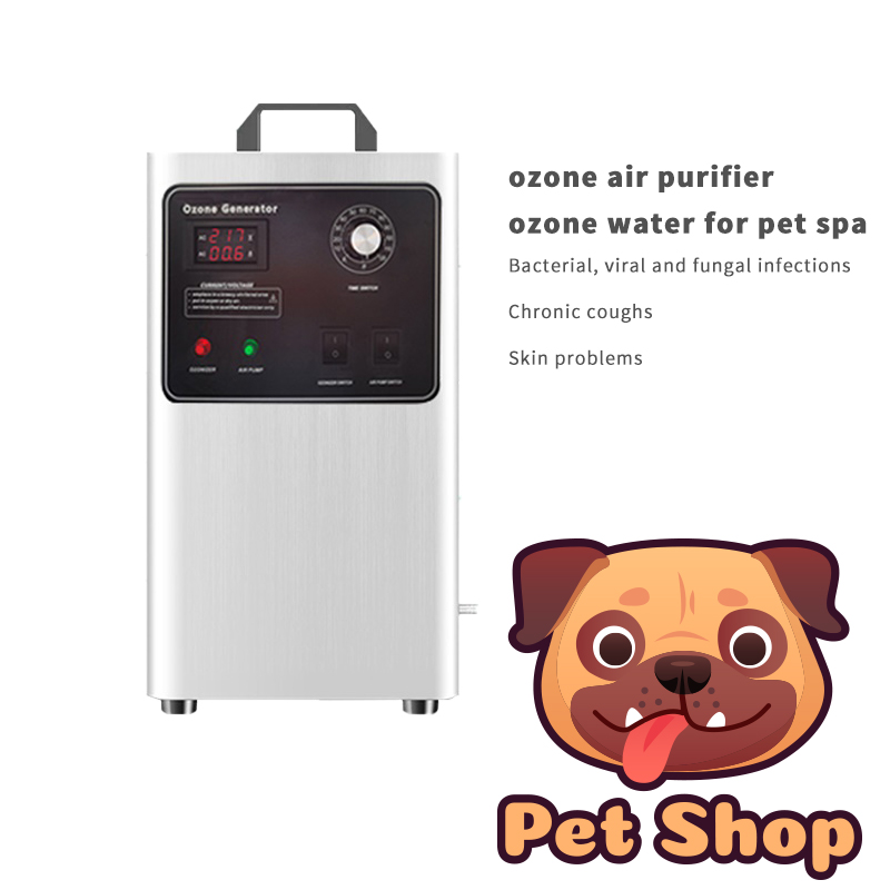 GA-5 small ozone generator air purifier for home use