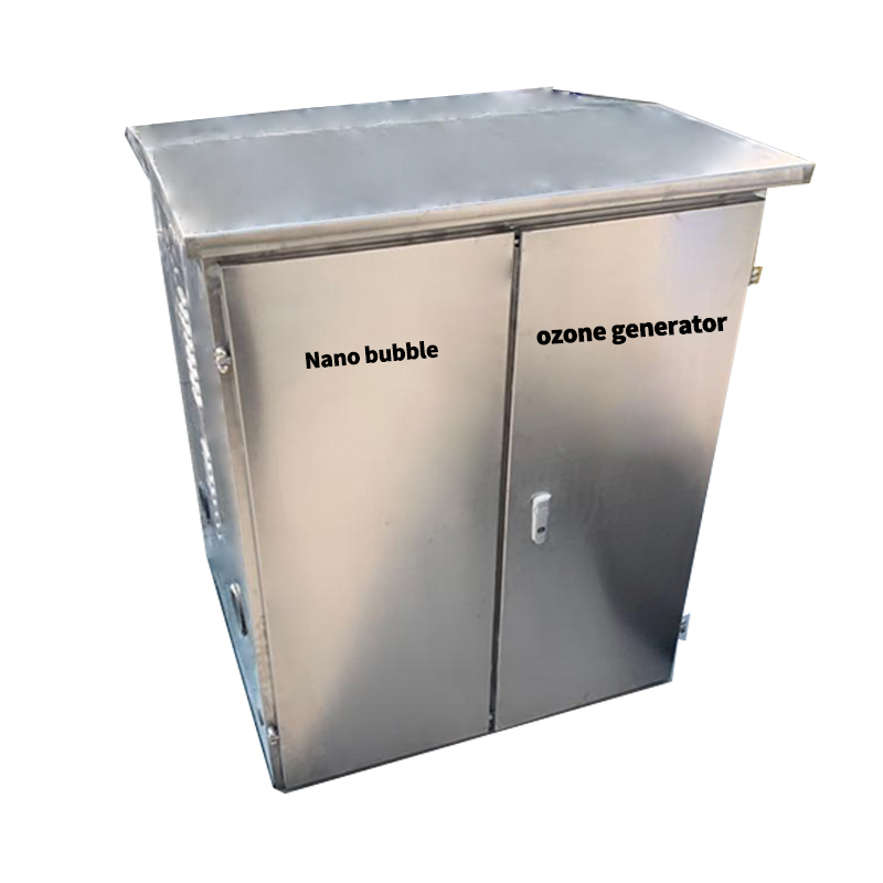 factory price good quality commercial 50g 60g 80g 100g indusitral Nano Bubble Ozone Generator Water Treatment for sale