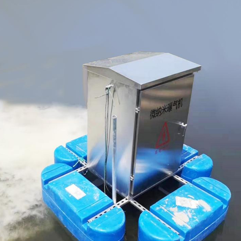 factory price good quality commercial 50g 60g 80g 100g indusitral Nano Bubble Ozone Generator Water Treatment for sale