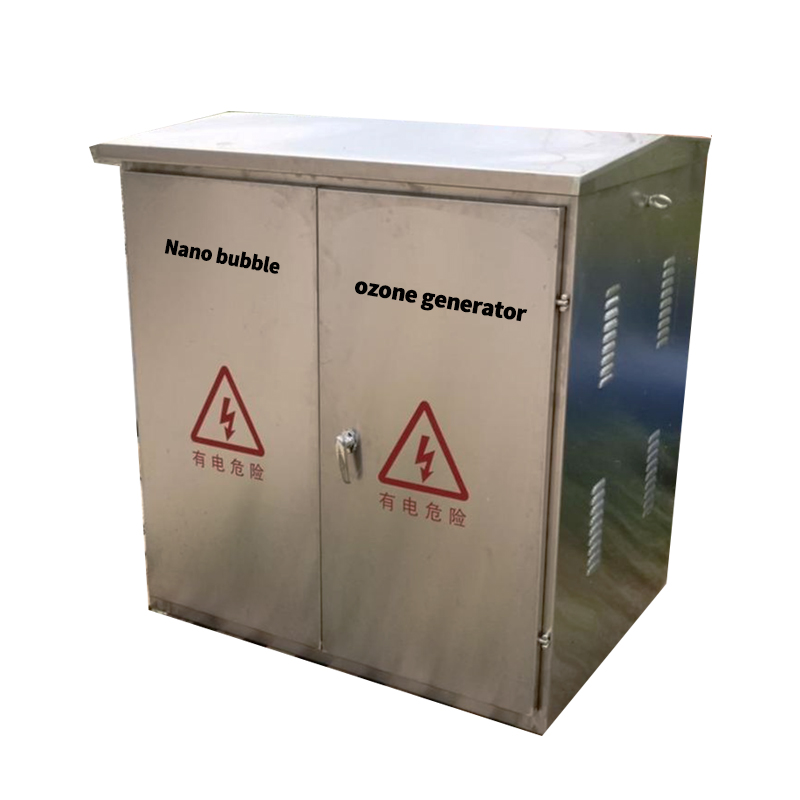 factory price good quality commercial 50g 60g 80g 100g indusitral Nano Bubble Ozone Generator Water Treatment for sale