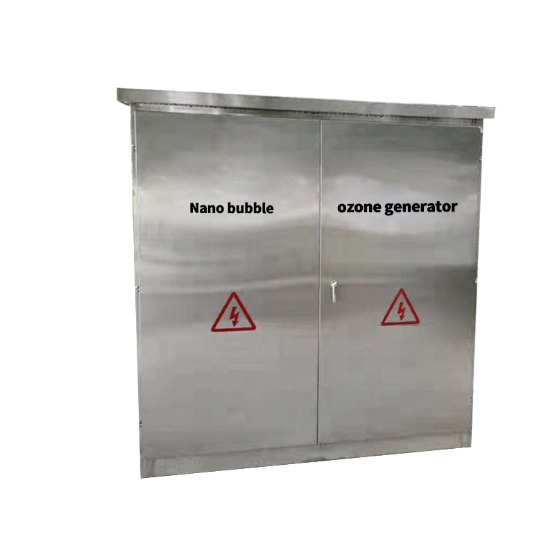 factory price good quality commercial 50g 60g 80g 100g indusitral Nano Bubble Ozone Generator Water Treatment for sale