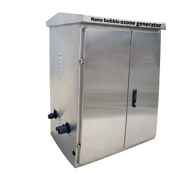 factory price good quality commercial 50g 60g 80g 100g indusitral Nano Bubble Ozone Generator Water Treatment for sale
