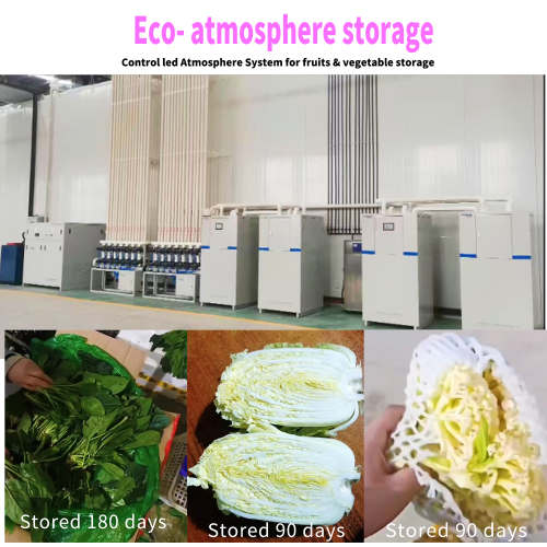 The different between Cold storage and Controlled Atmosphere storage ?