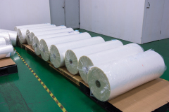 11 Layer cast film