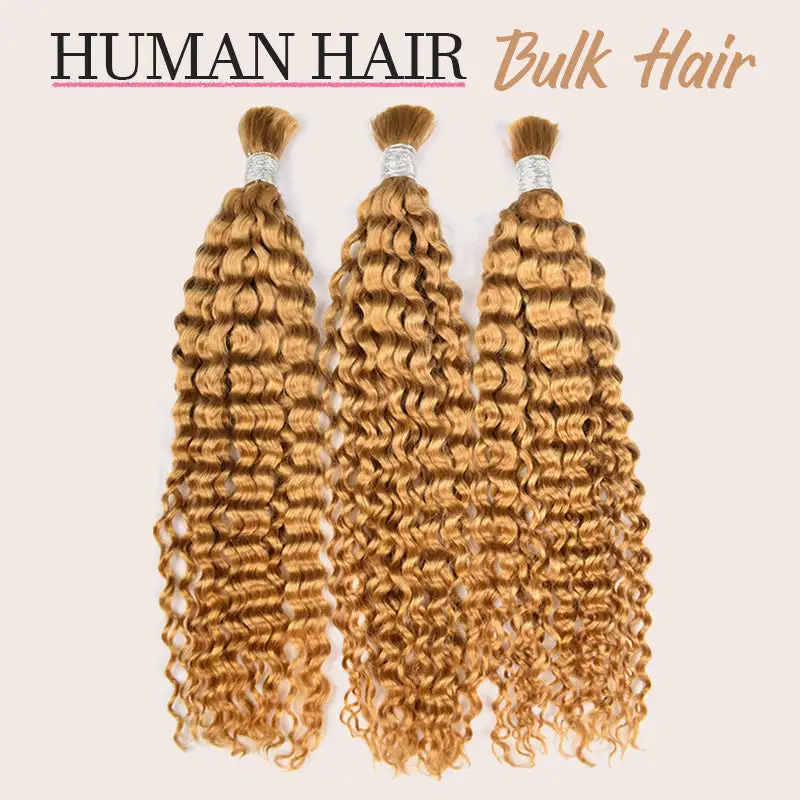 #27 Italian Curly Boho Braids No Weft Bulk Hair for Human Hair RXHAIR