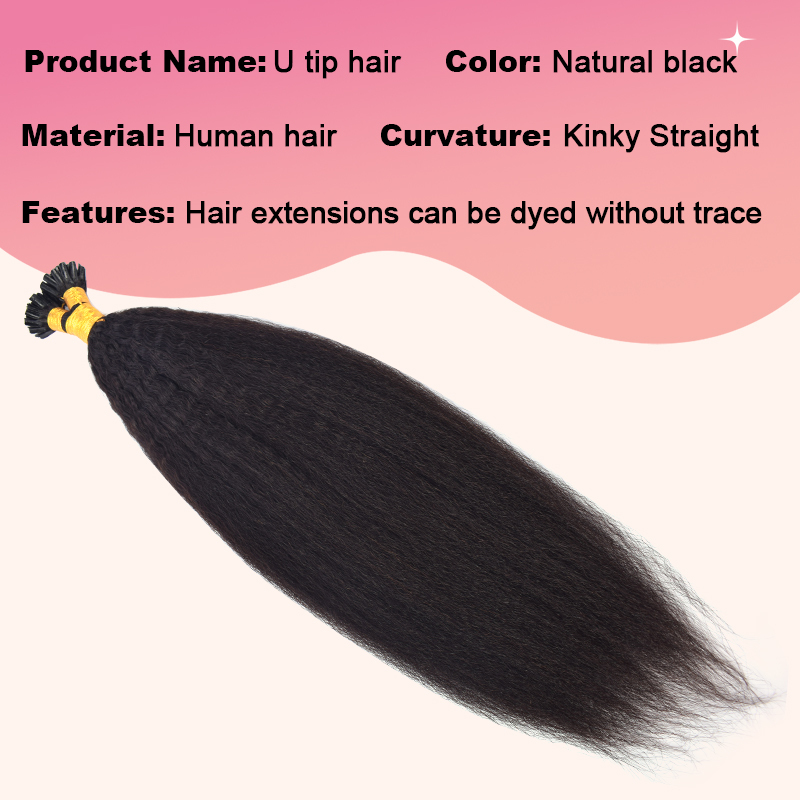 Kinky Straight U Tip Hair Extensions Real Human Hair 100g Natural Black Utip Hair Extensions Human Hair For Women