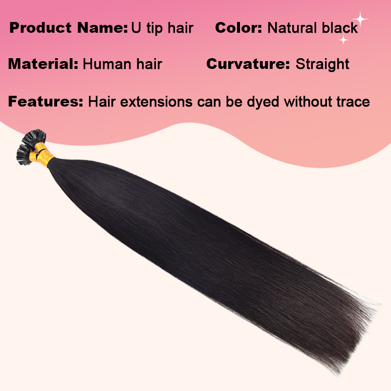 Straight U Tip Hair Extensions Real Human Hair 100g Natural Black Utip Hair Extensions Human Hair For Women