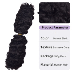 Burmese Curly