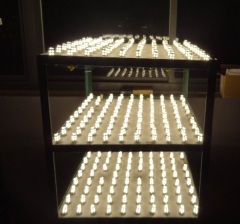 Able No Flicker Ra80 3.5W 27SMD 5050 380Lm 10-30V DC GY6.35 Led Light
