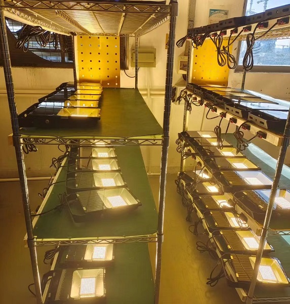 Able Phillips 3030SMD Meanwell Driver 150-480W Led Flood Light