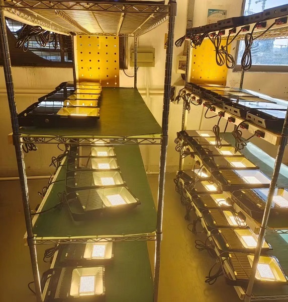 Able Phillips 3030SMD Meanwell Driver 150-480W Led Flood Light