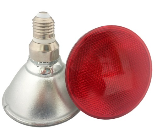 Able Waterproof Glass Bulb Outdoor 15W 2835 Red PAR38 Led Bulb