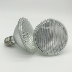 Able High Quality Glass Bulb 12W 2835 Waterproof PAR30 Led Bulb