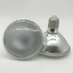 Able High Quality Glass Bulb 12W 2835 Waterproof PAR30 Led Bulb
