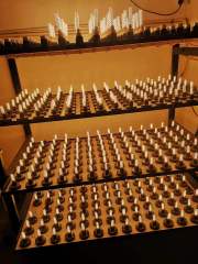 Able Flicker Free Ceramic 230V 3W 33SMD 320Lm G9 Lighting Led