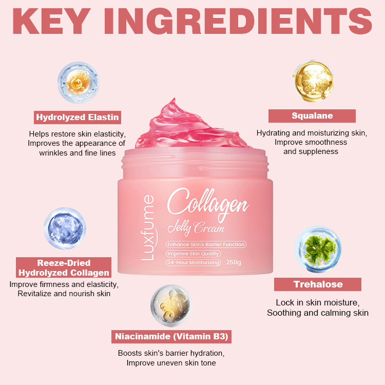 Collagen Jelly Cream
