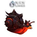 Shellack - Glory of the Dragonflight Hero