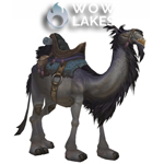 Reins of the Grey Riding Camel