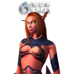 Skimpy Demonleather Tunic