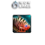 Regal Dottyback*200